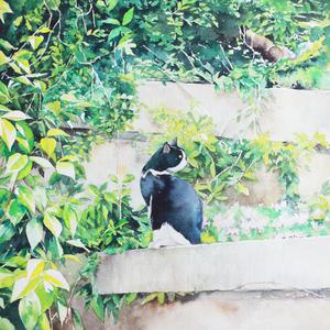 18岁禁秘视频入口
